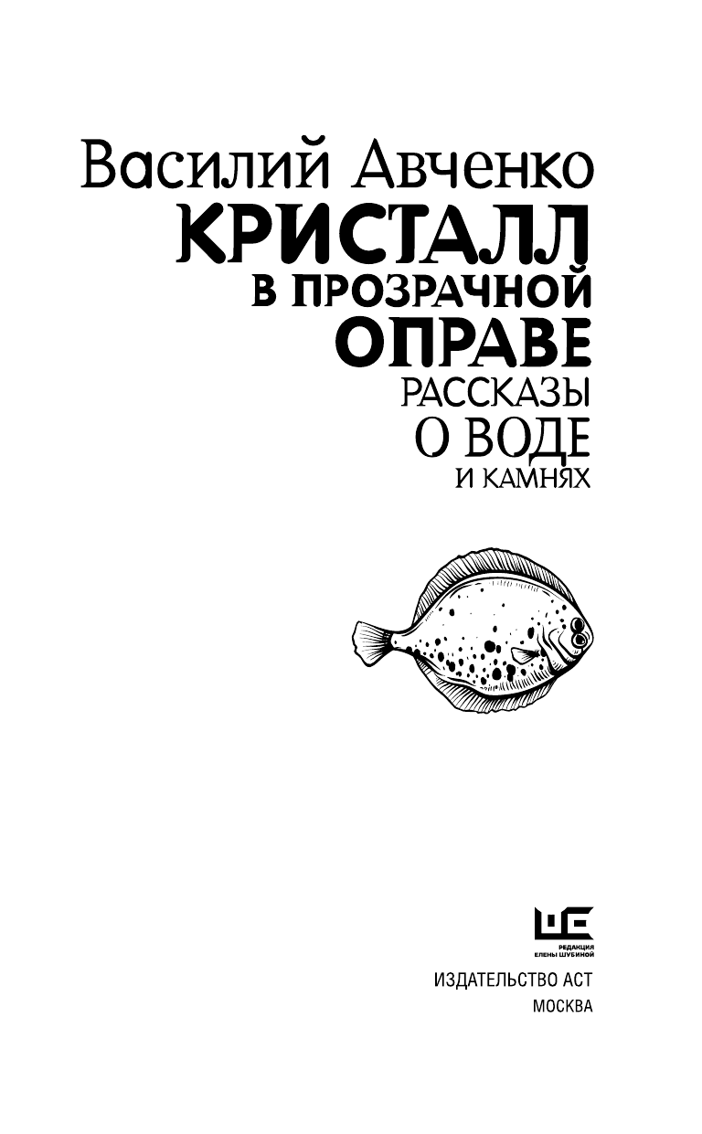 Авченко Василий Олегович Кристалл в прозрачной оправе - страница 4