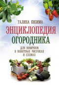 Энциклопедия огородника для новичков в понятных рисунках и схемах. Увидел - повтори