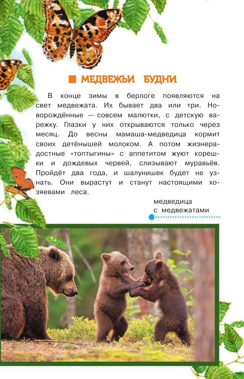 Тихонов Александр Васильевич Детёныши животных - страница 3