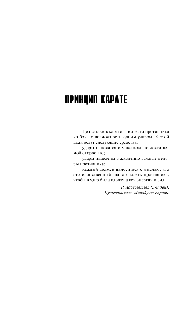 Корецкий Данил Аркадьевич Принцип карате - страница 3