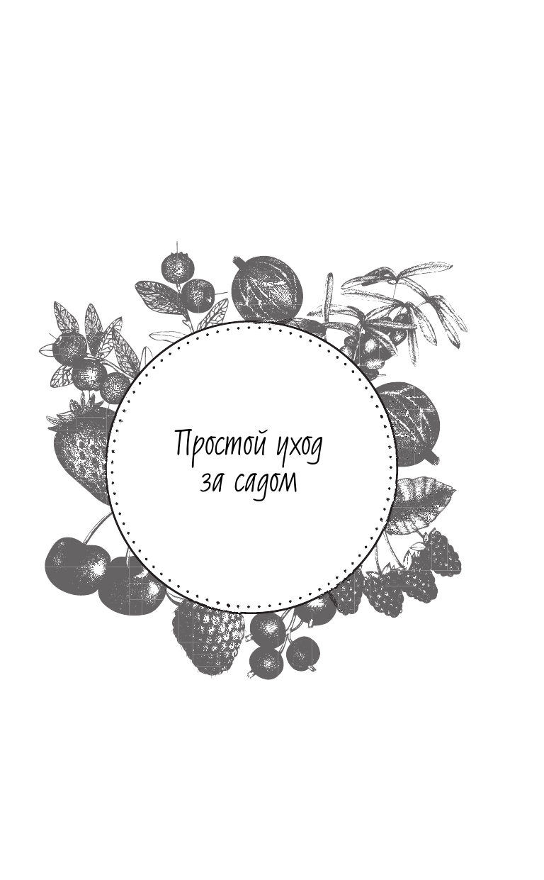 Кизима Галина Александровна Сад для тех, кому за... без лишних усилий - страница 4