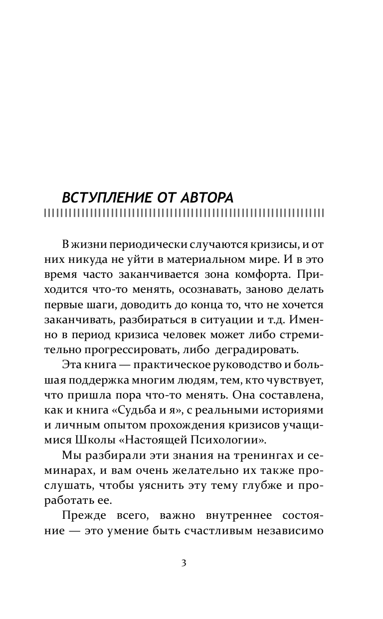 Блект Рами  Как из любого кризиса сделать большую победу - страница 4