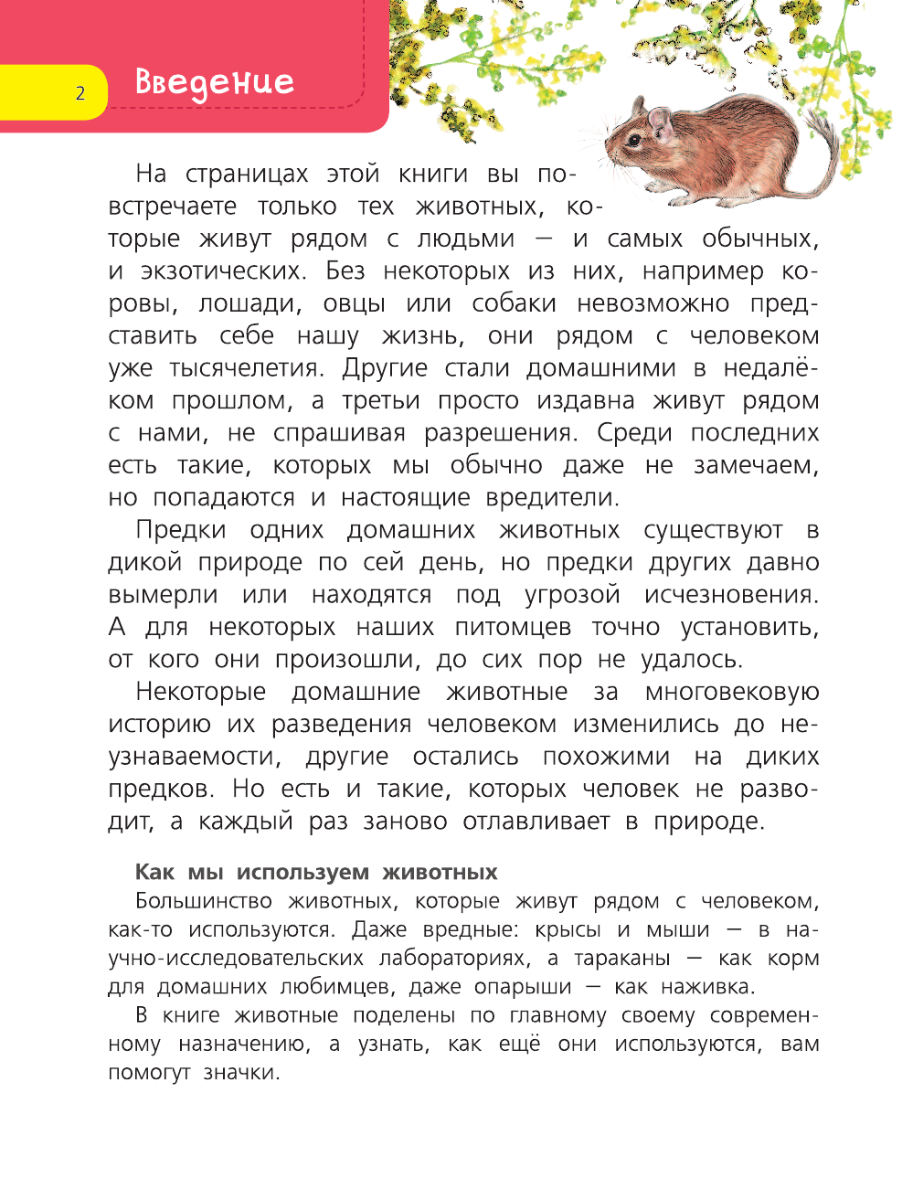  Домашние животные - страница 3