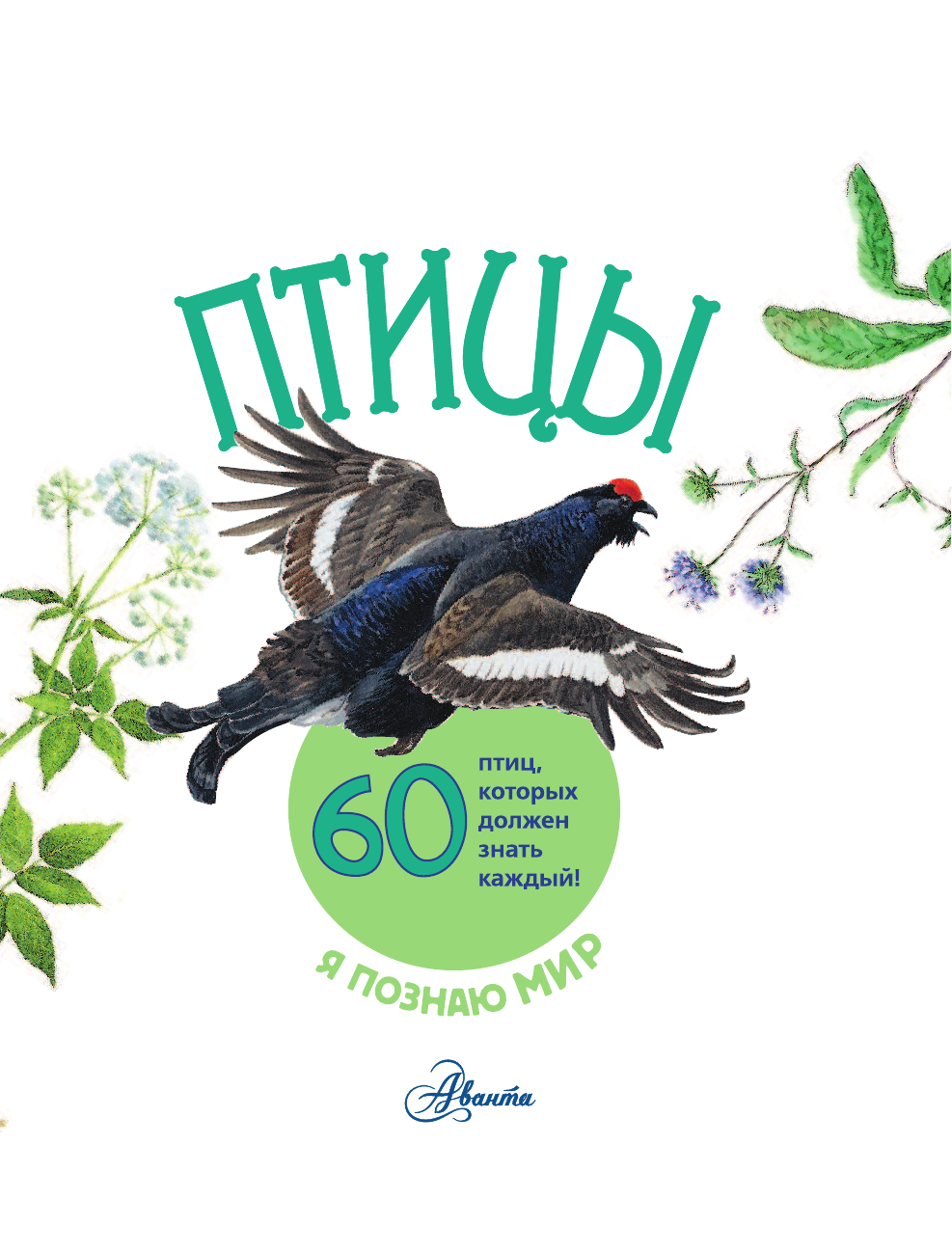  Птицы - страница 2