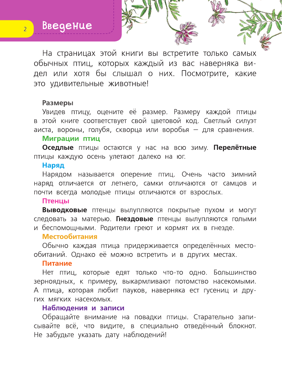  Птицы - страница 3