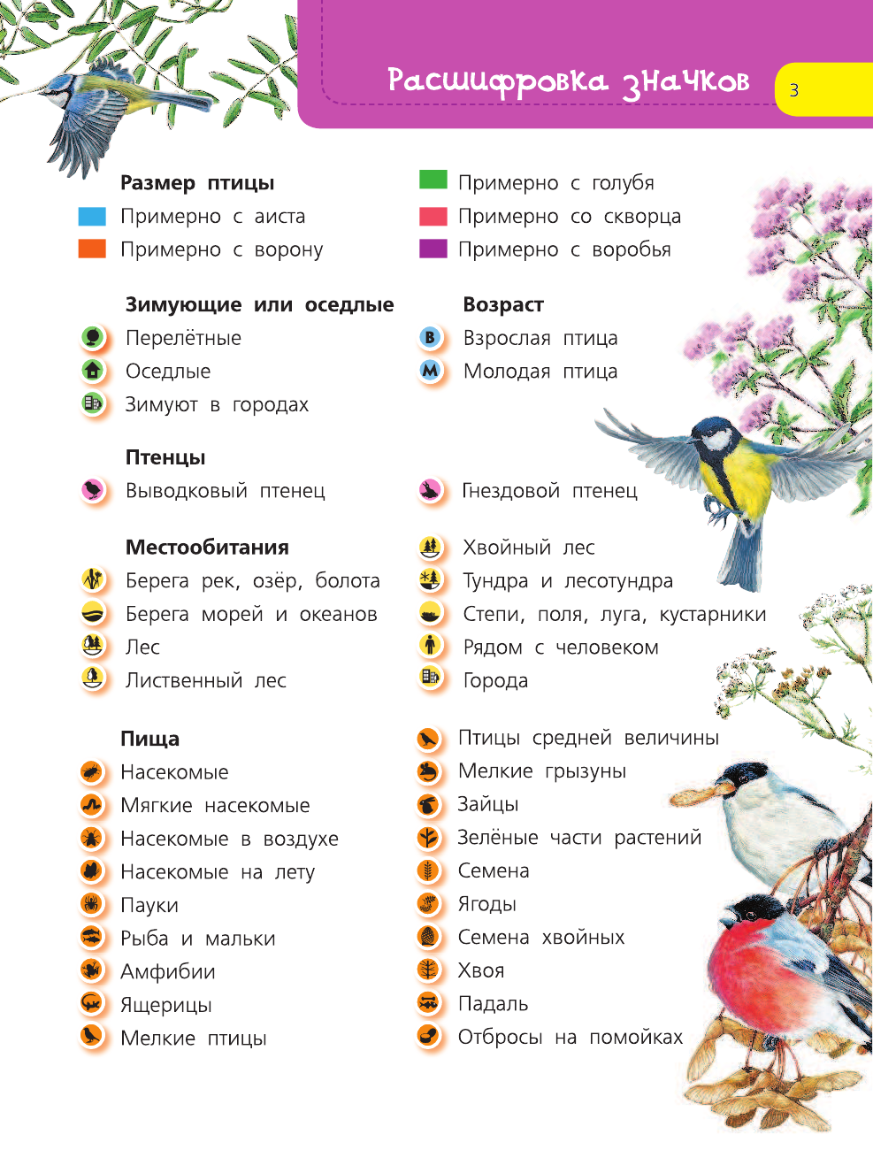  Птицы - страница 4