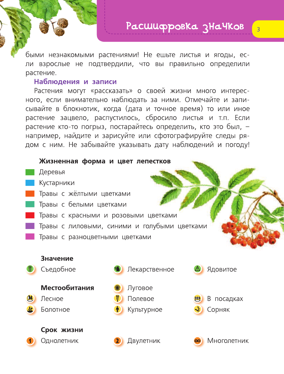  Деревья и травы - страница 4