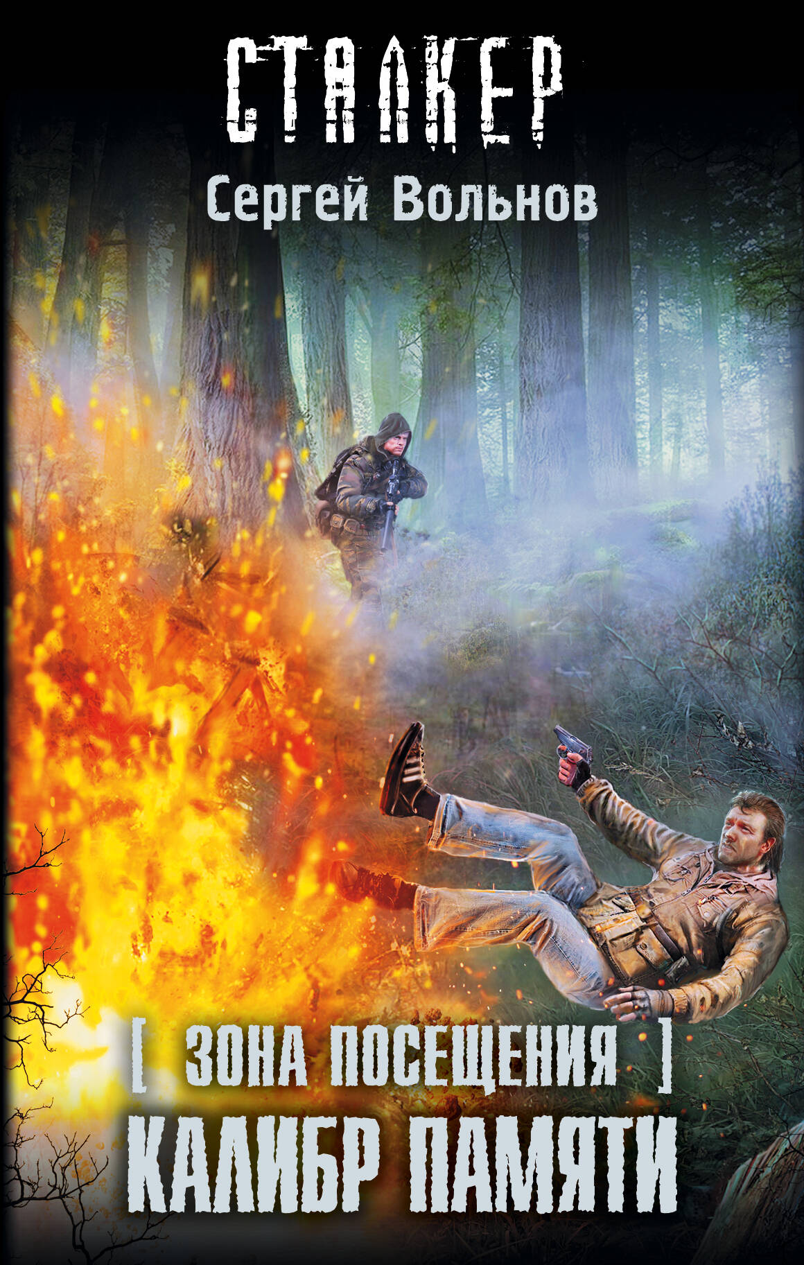 Вольнов Сергей Зона Посещения. Калибр памяти - страница 0
