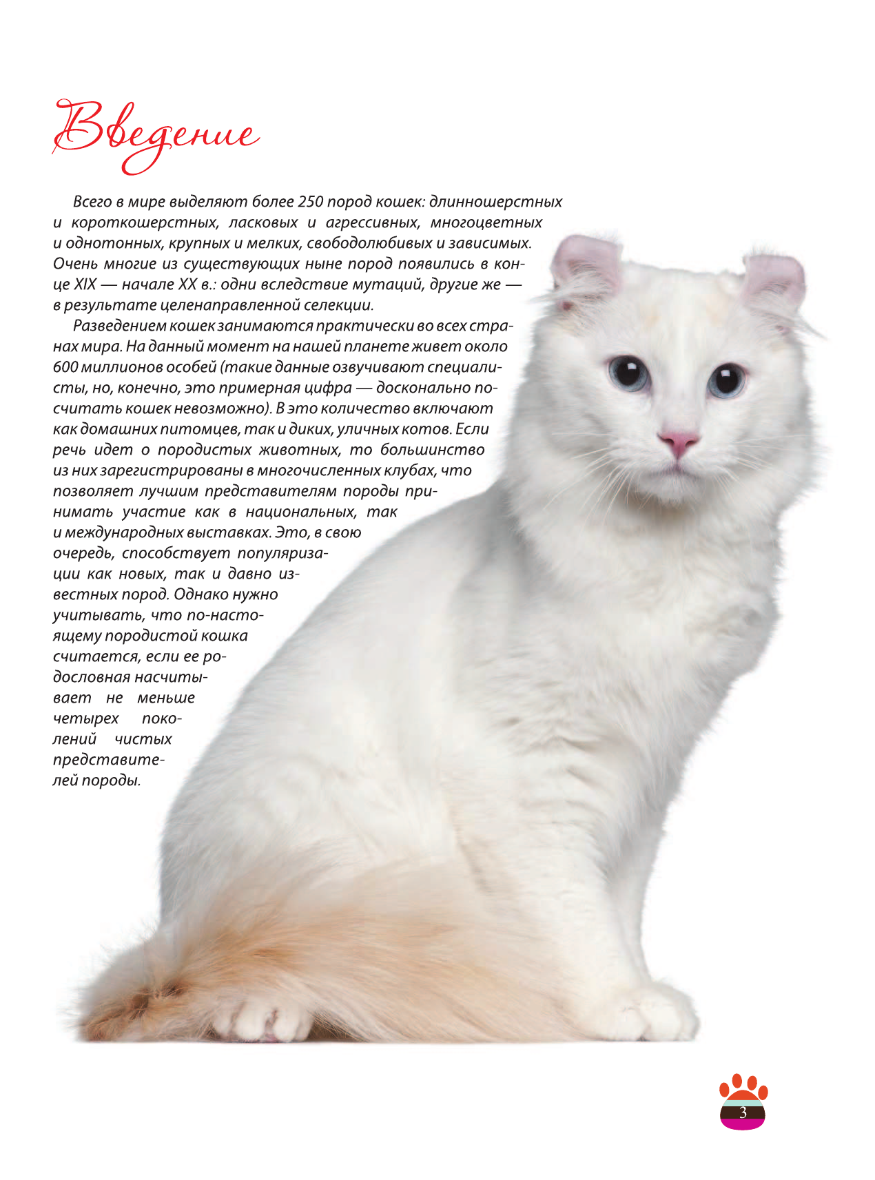 Смирнов Дмитрий Сергеевич Кошки - страница 4