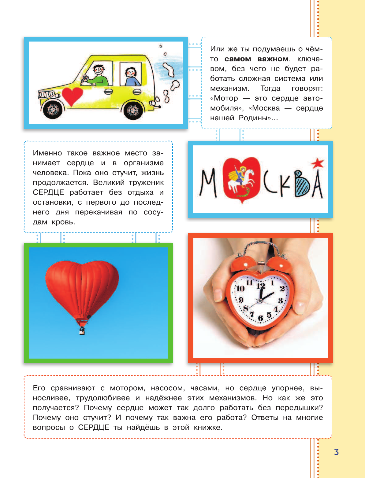 Иванова Вера Владимировна Как устроен человек? - страница 4