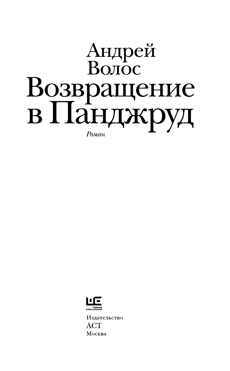 Волос Андрей Германович Возвращение в Панджруд - страница 4