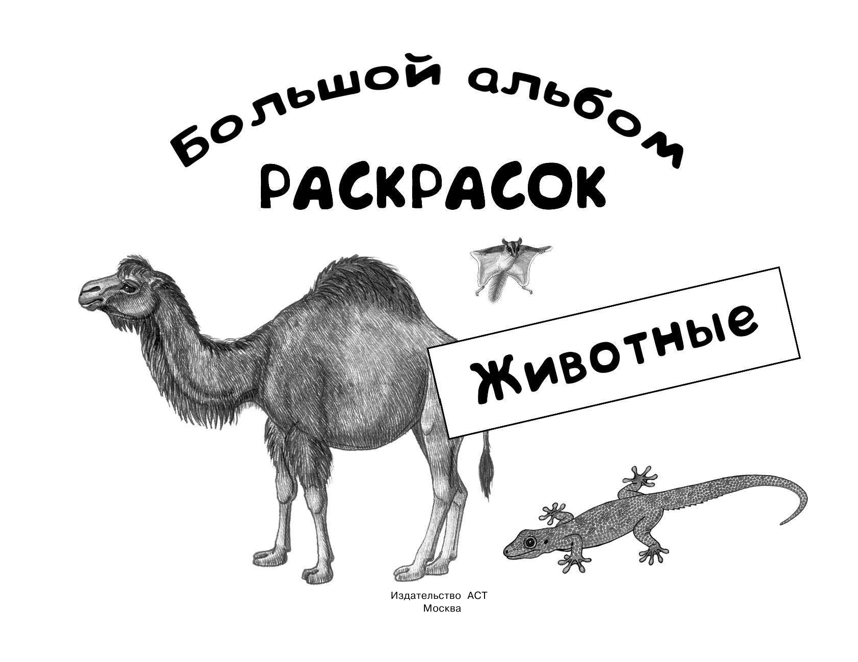 Глотова Вера Юрьевна Животные - страница 2