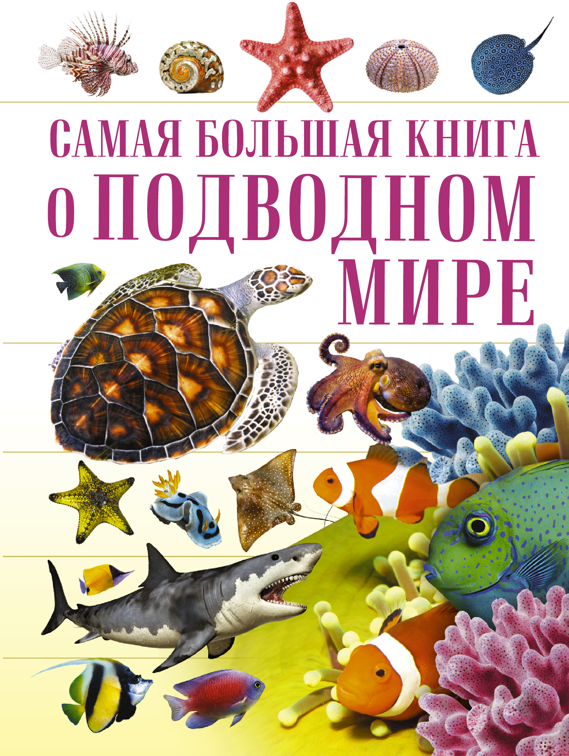  О подводном мире - страница 0