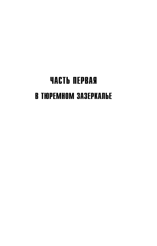 Корецкий Данил Аркадьевич Расписной - страница 4
