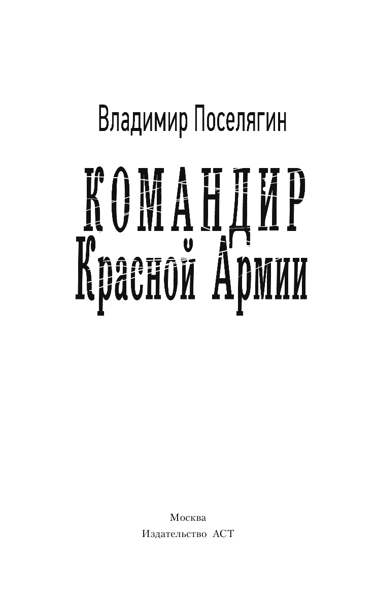 Поселягин Владимир Геннадьевич Командир красной армии - страница 4