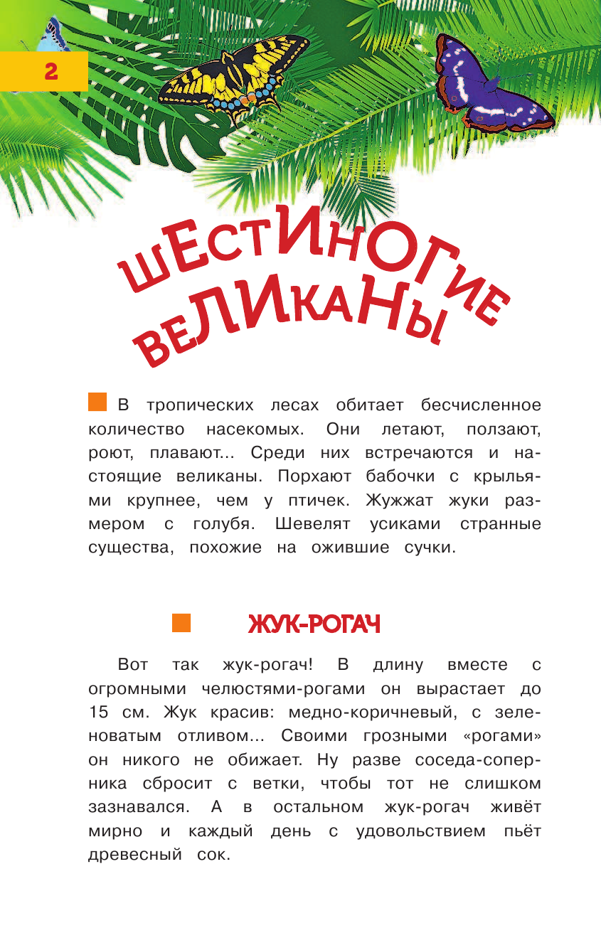  Такие удивительные насекомые - страница 3