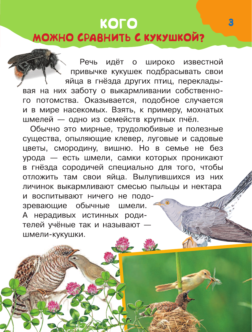 Малов Владимир Игоревич Много вопросов - много ответов - страница 4