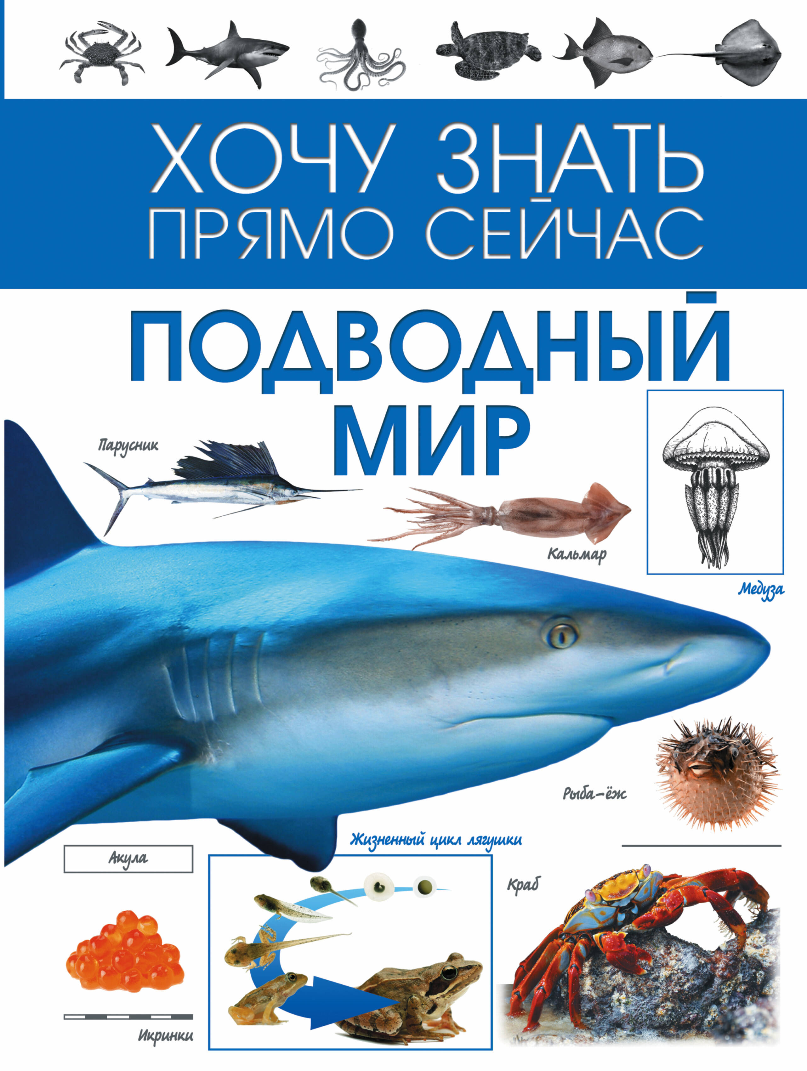  Подводный мир - страница 0