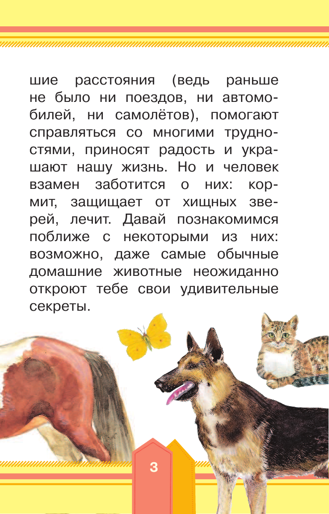  Домашние животные - страница 4