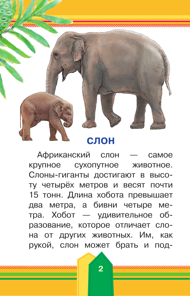  Животные в зоопарке - страница 3
