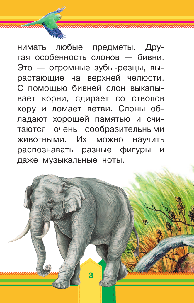  Животные в зоопарке - страница 4