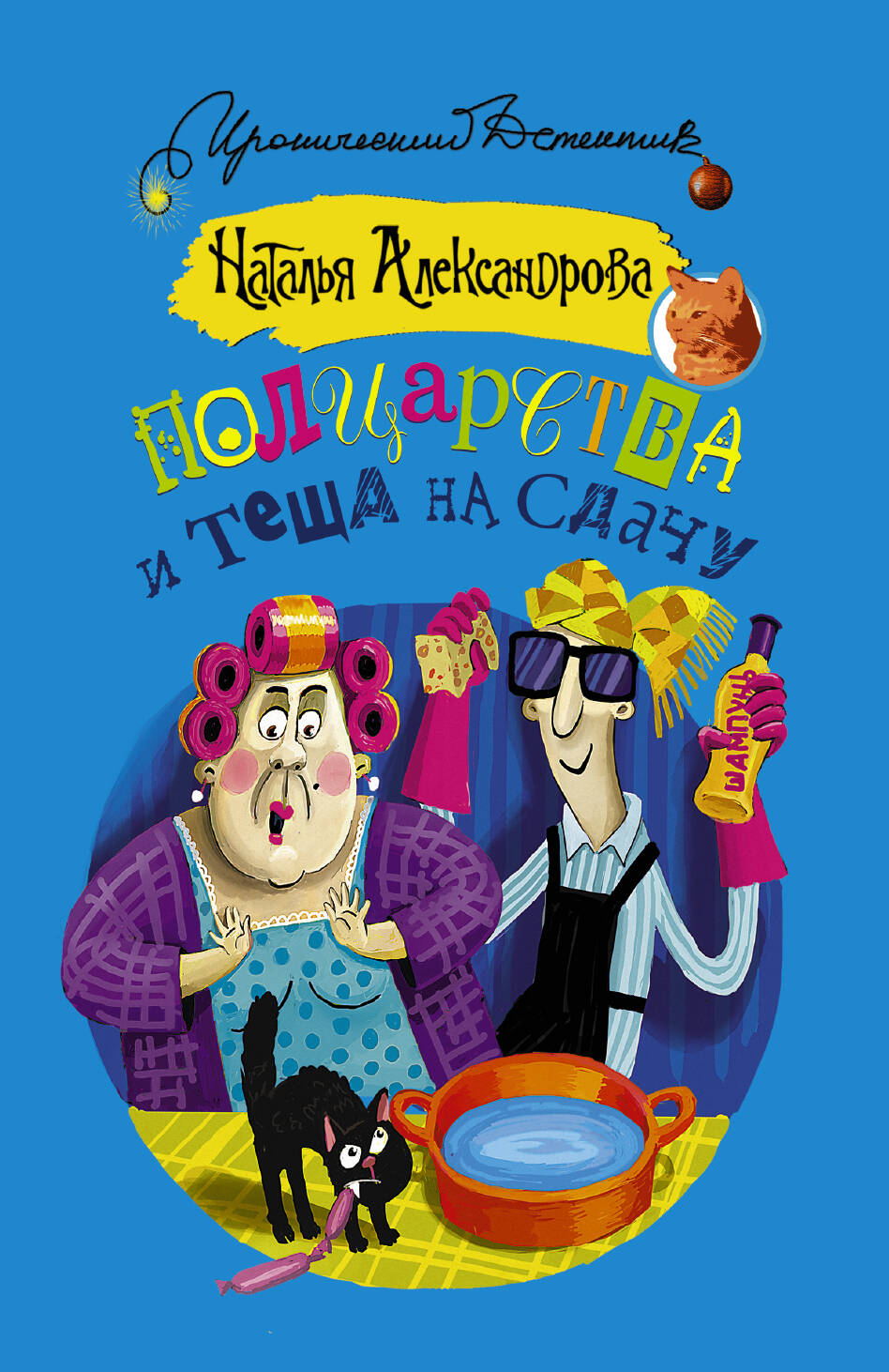 Александрова Наталья Николаевна Полцарства и теща на сдачу - страница 0
