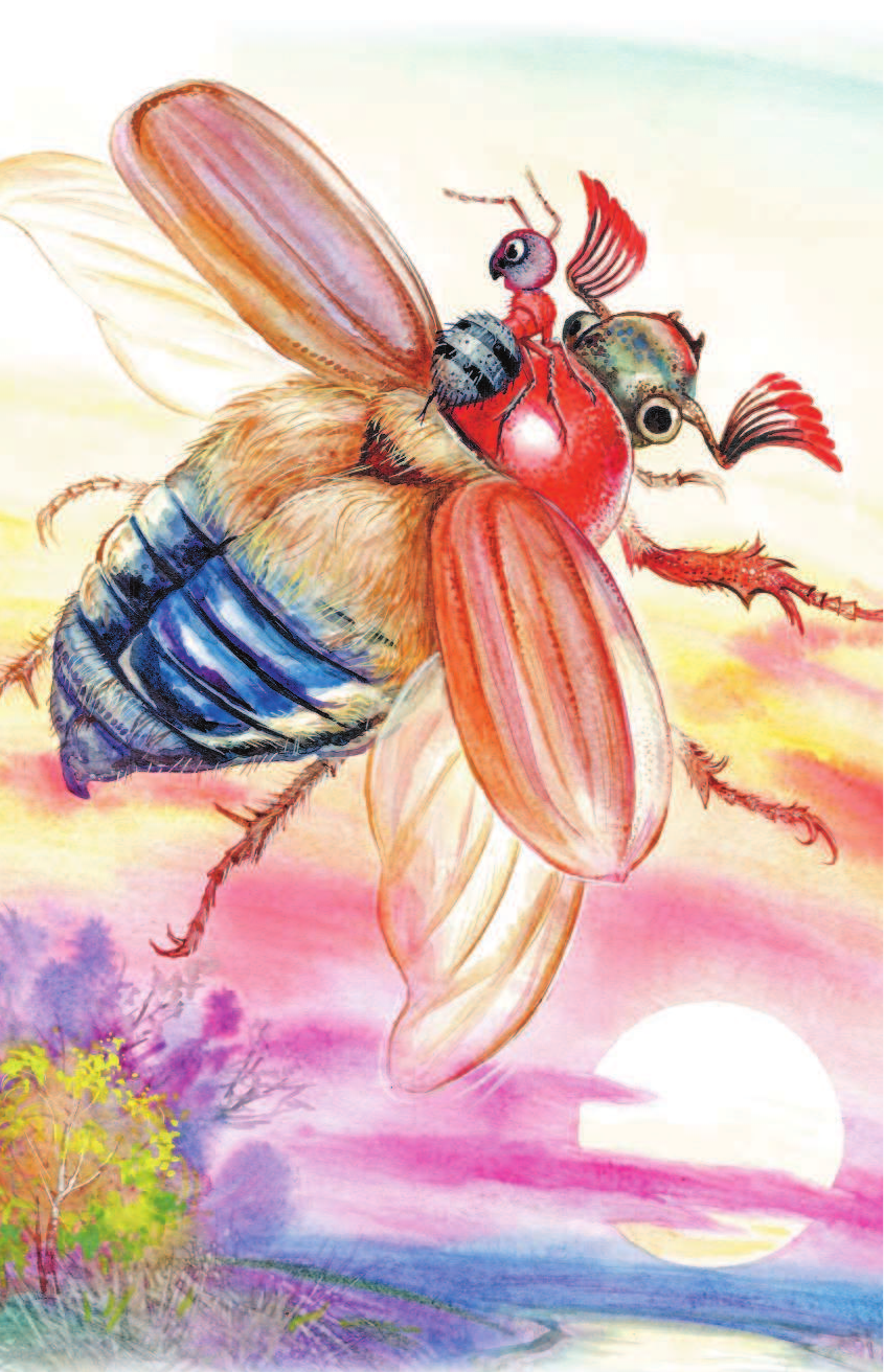 Бианки Виталий Валентинович Приключения Муравьишки - страница 4