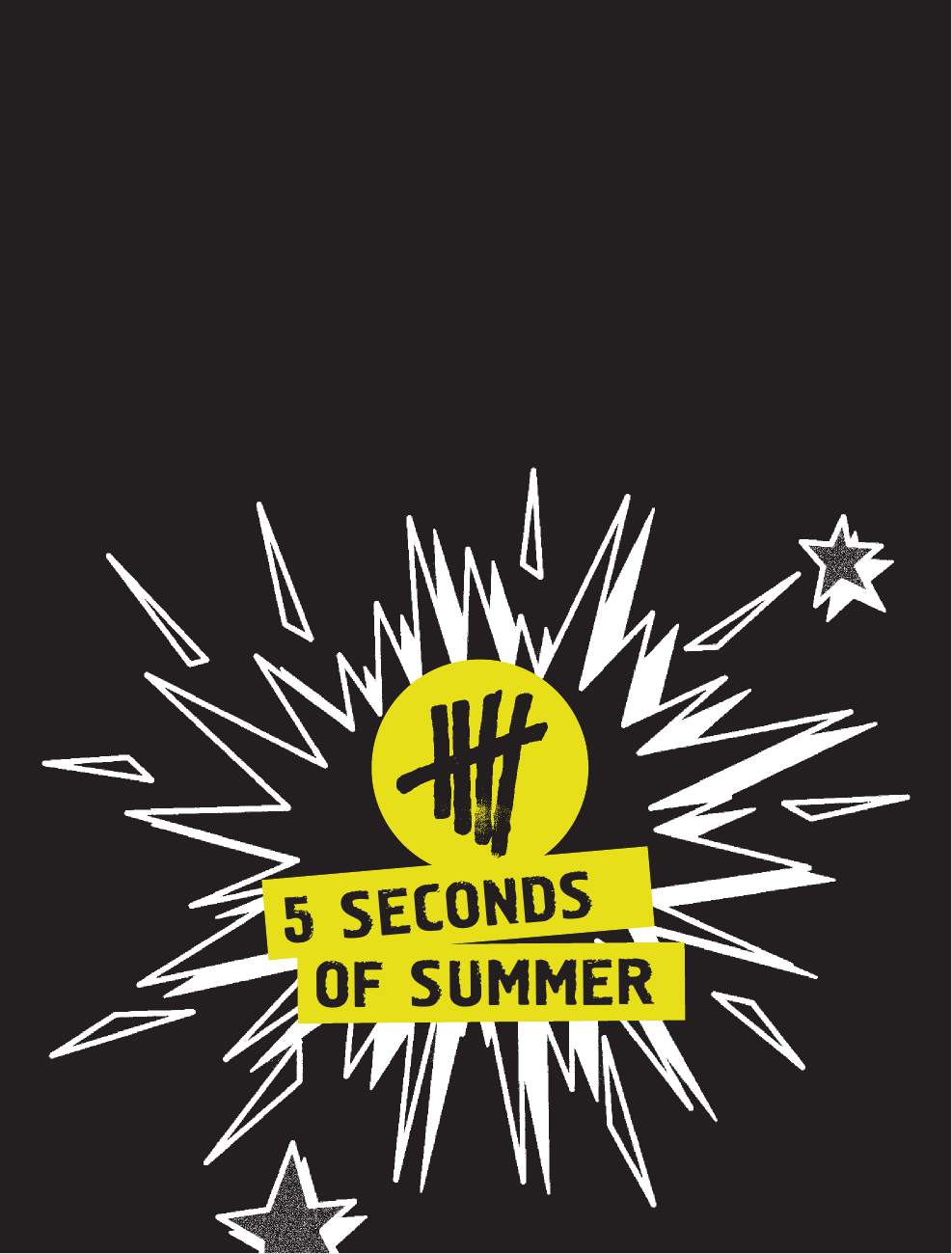 Хеммингс Люк 5 Seconds of Summer. История успеха - страница 2