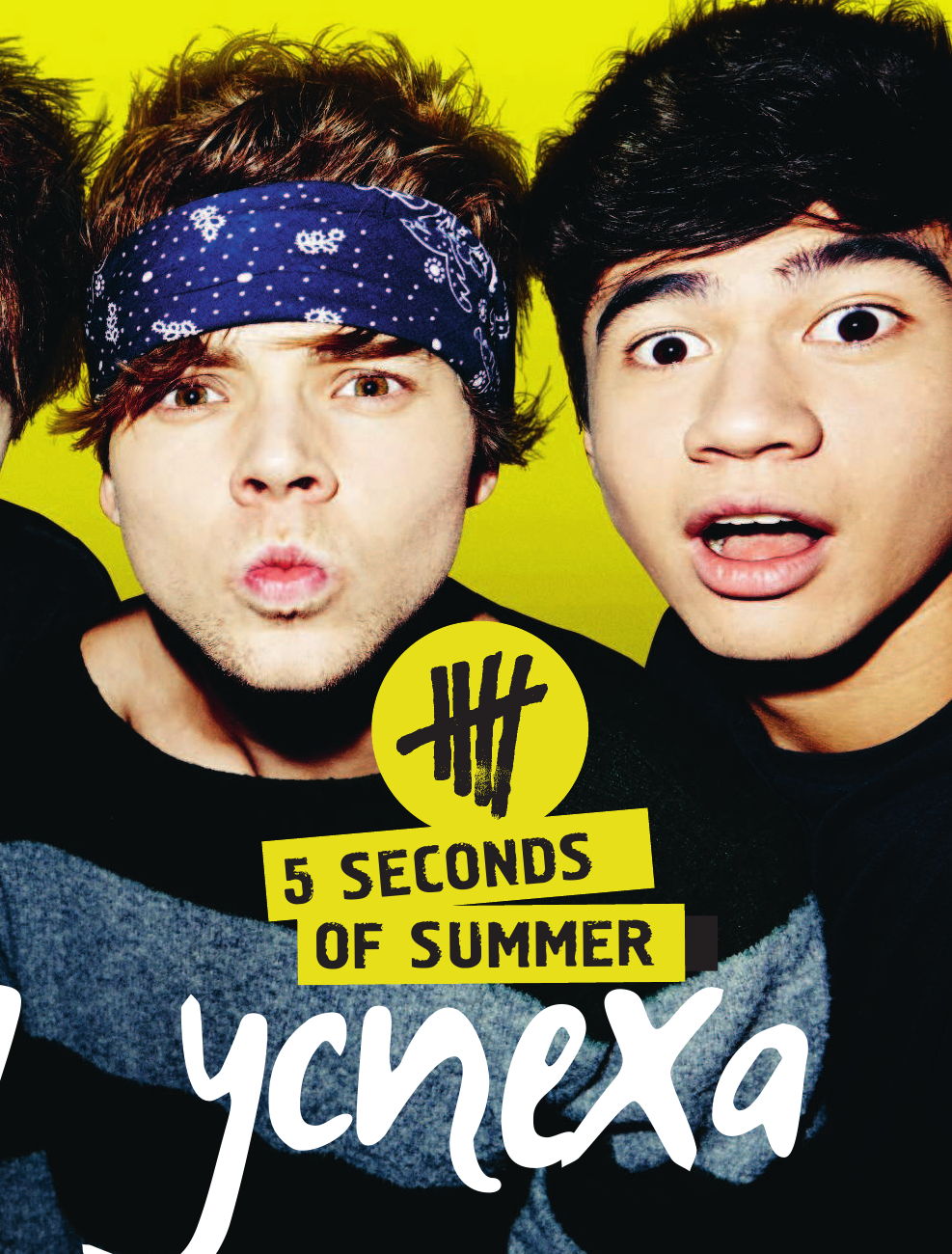 Хеммингс Люк 5 Seconds of Summer. История успеха - страница 4