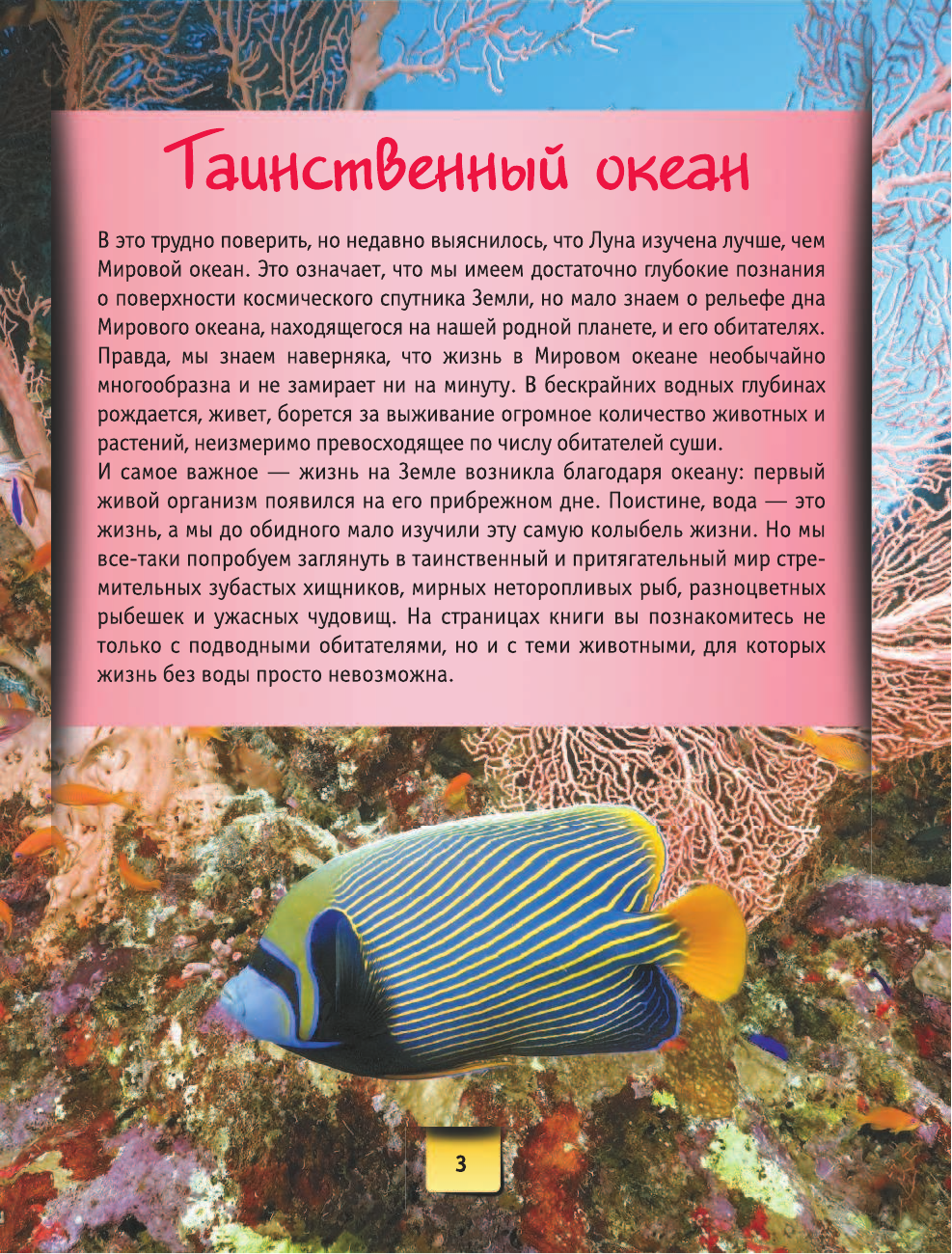  Подводный мир - страница 4