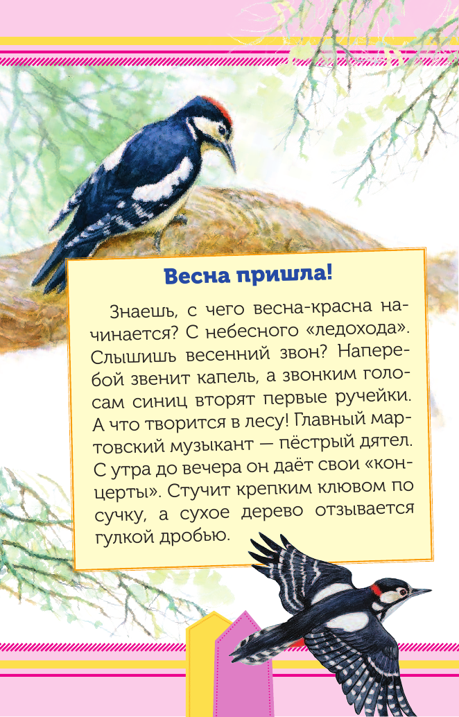  Времена года - страница 3