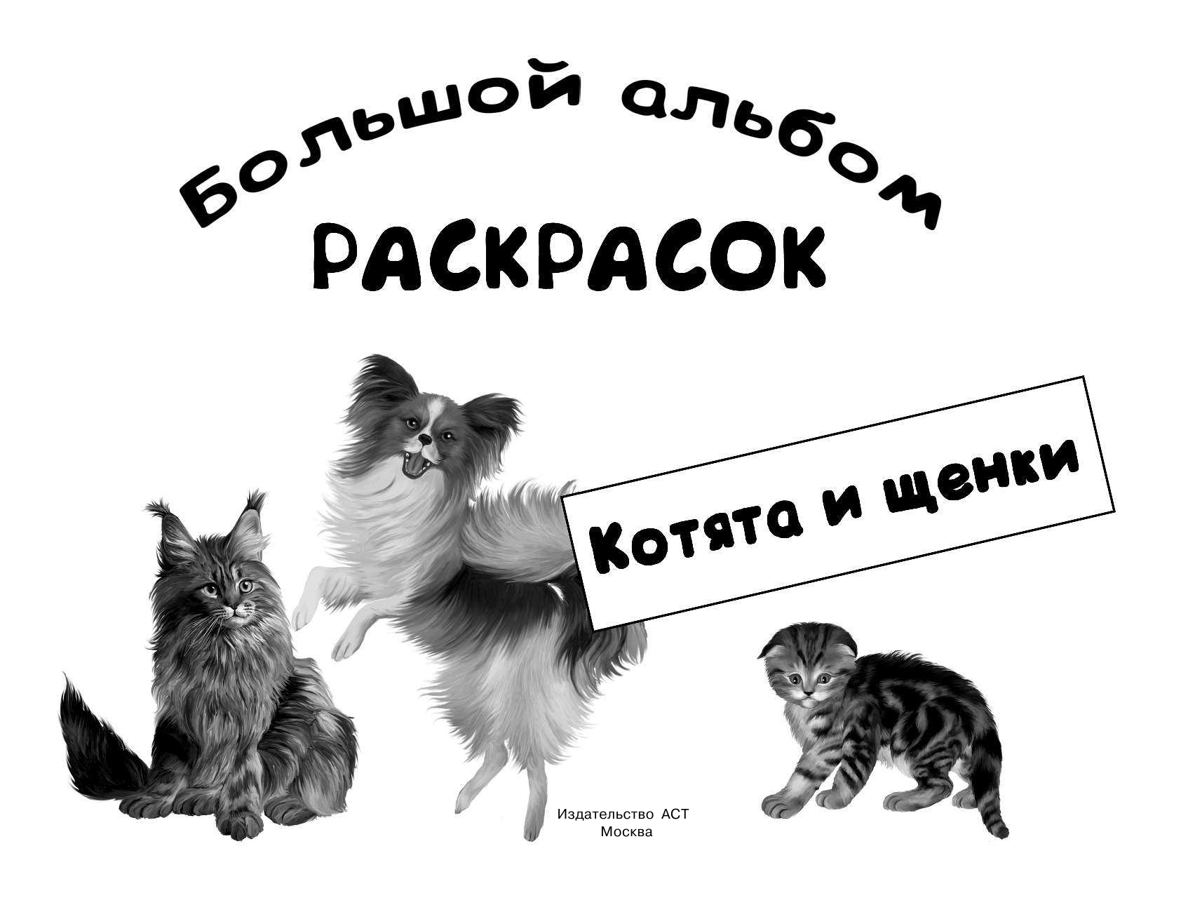 Глотова Вера Юрьевна Котята и щенки - страница 2