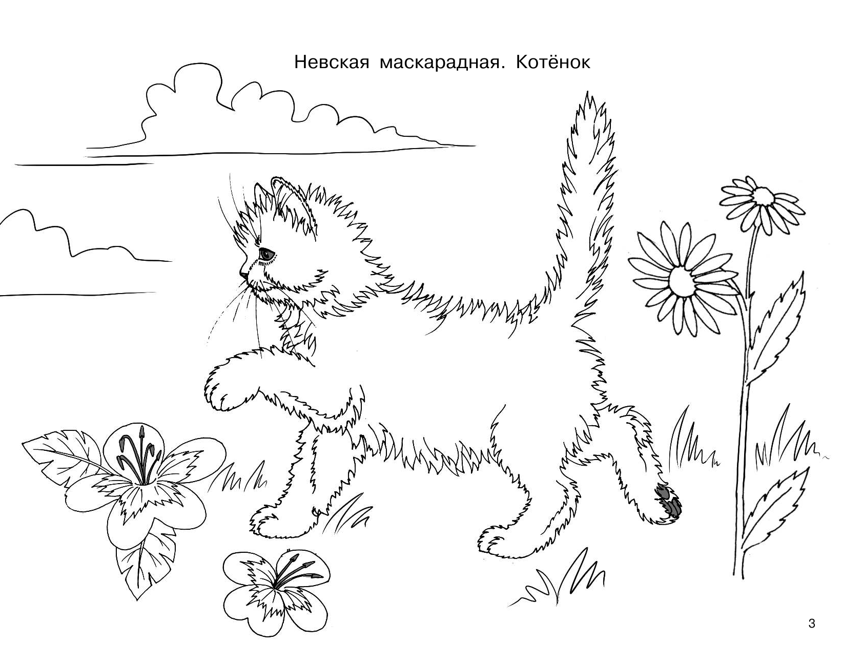 Глотова Вера Юрьевна Котята и щенки - страница 4