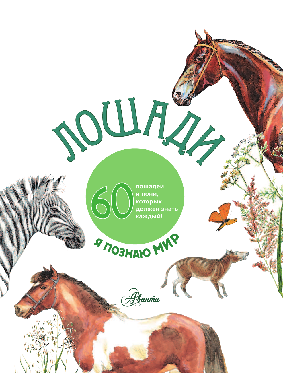 Без Автора Лошади - страница 2