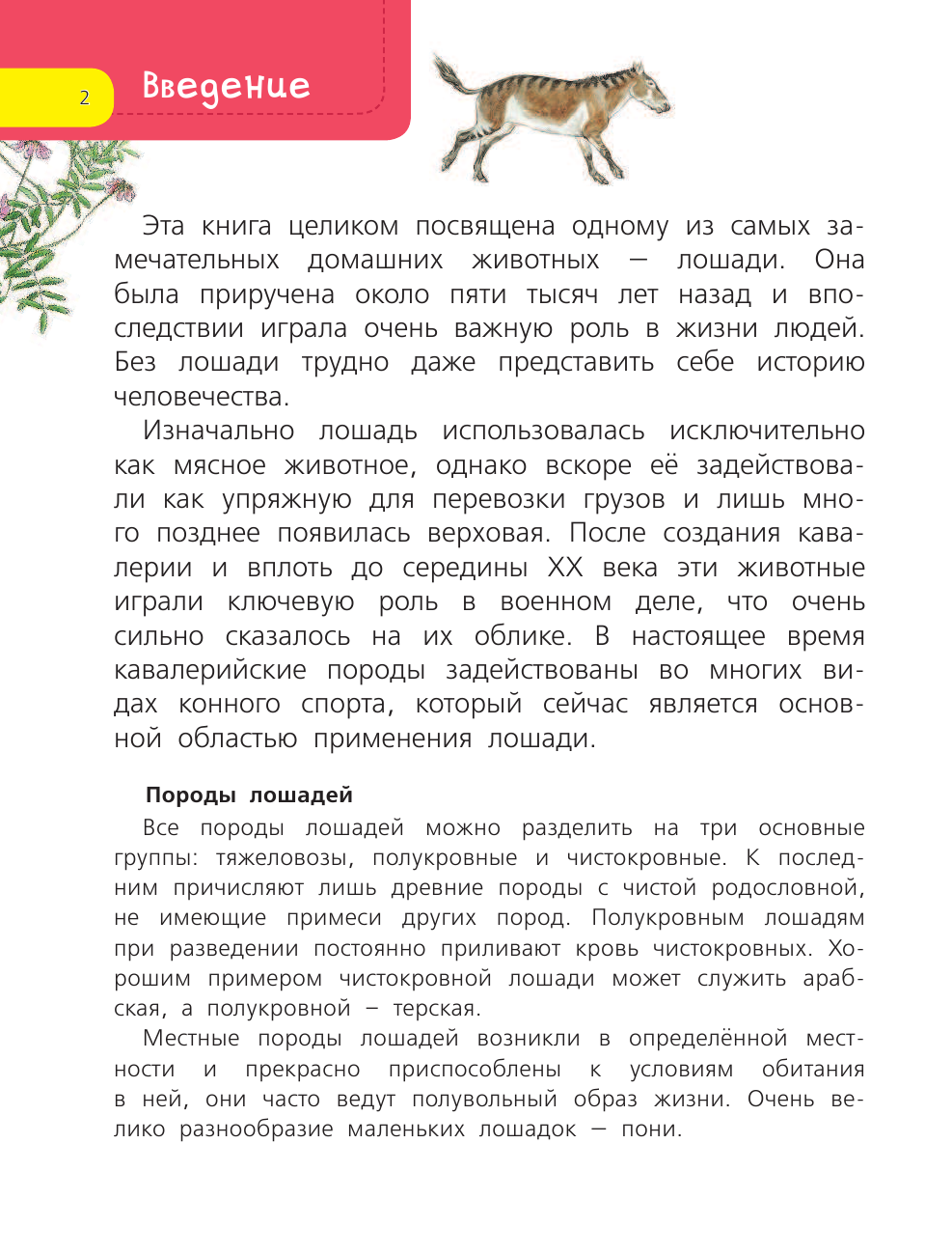 Без Автора Лошади - страница 3