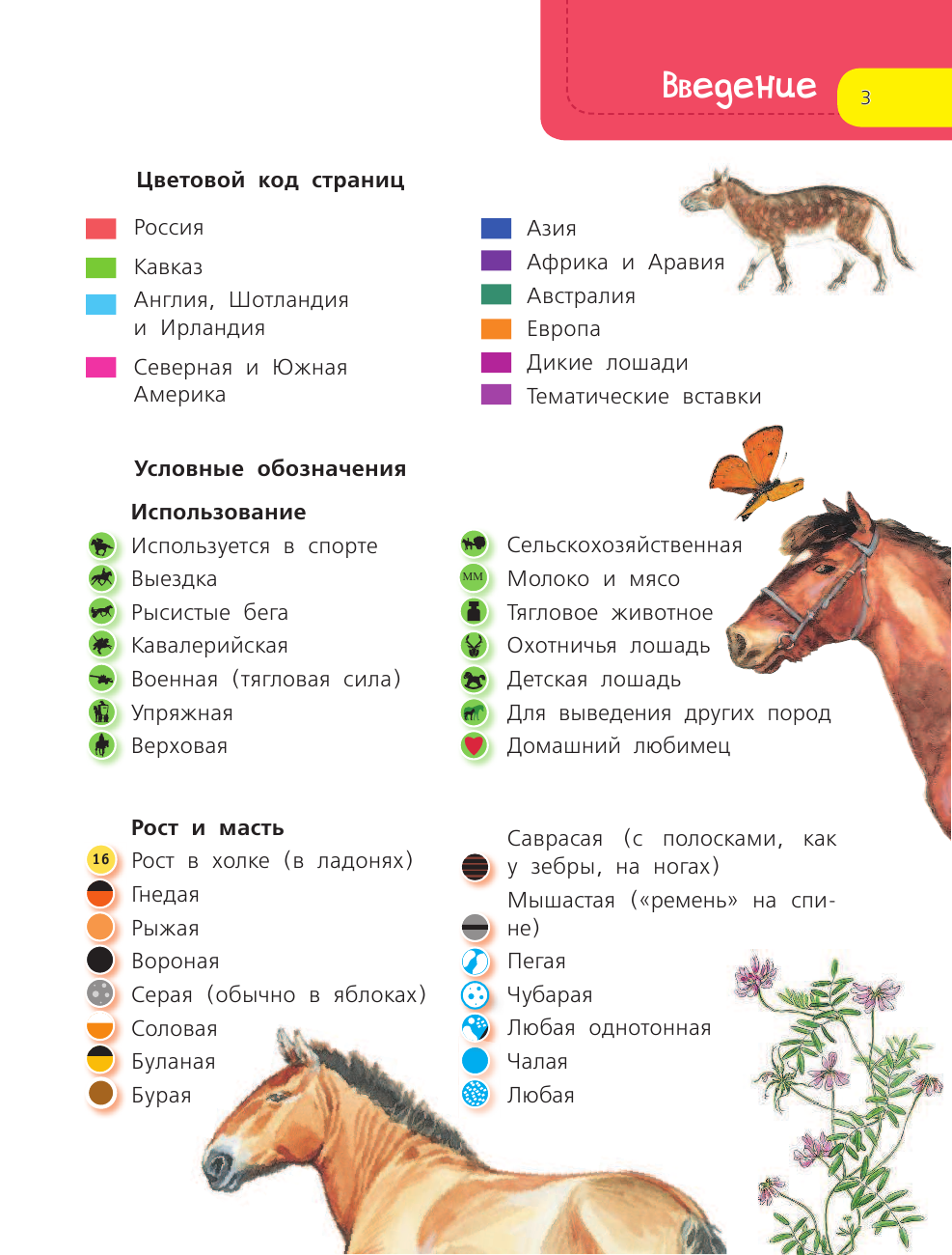Без Автора Лошади - страница 4