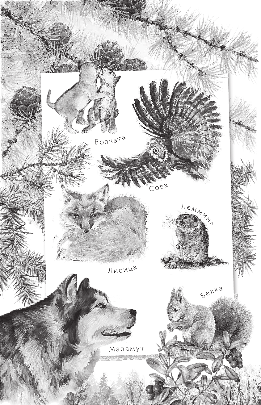  Любовь к жизни - страница 3