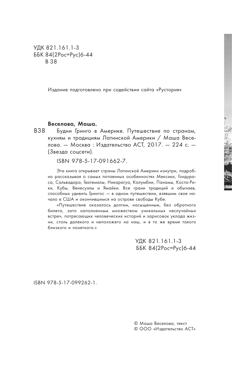 Веселова Маша  Будни Гринго в Америке - страница 3