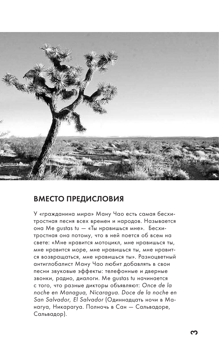 Веселова Маша  Будни Гринго в Америке - страница 4