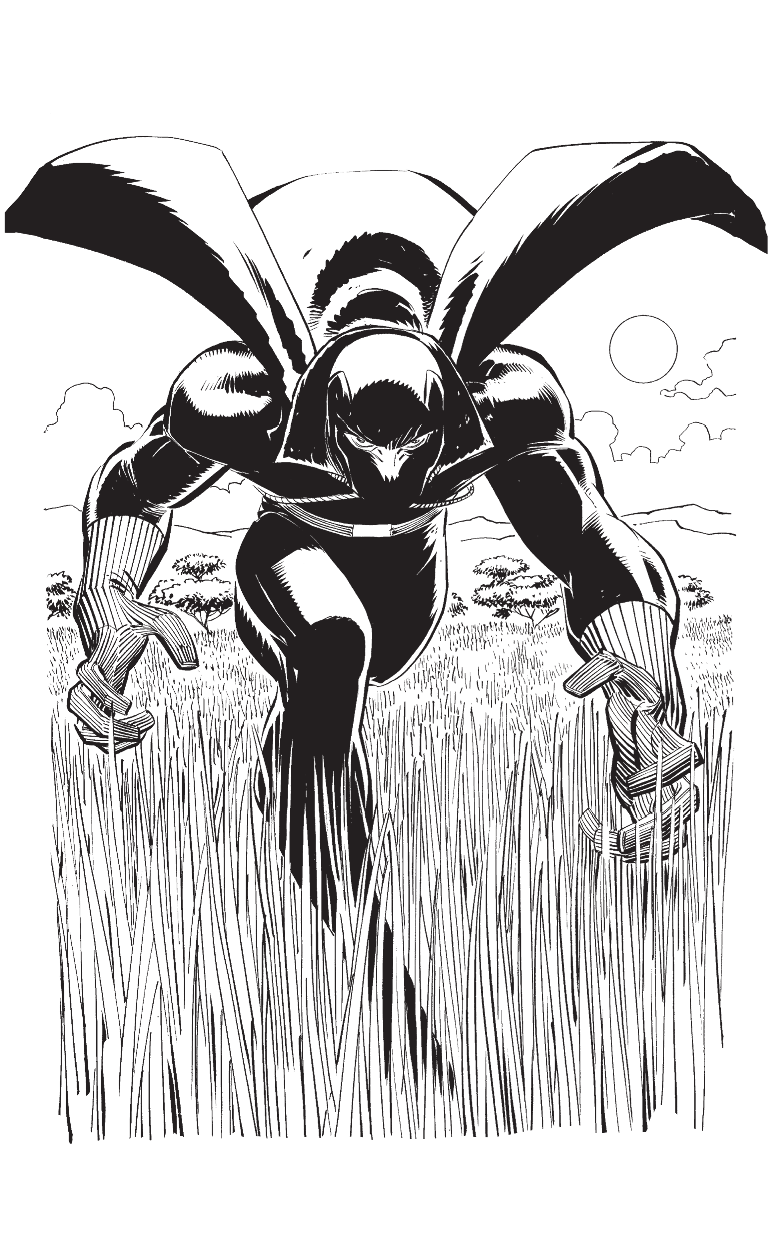 Холланд Джесси Дж. Черная Пантера: кто он? - страница 3