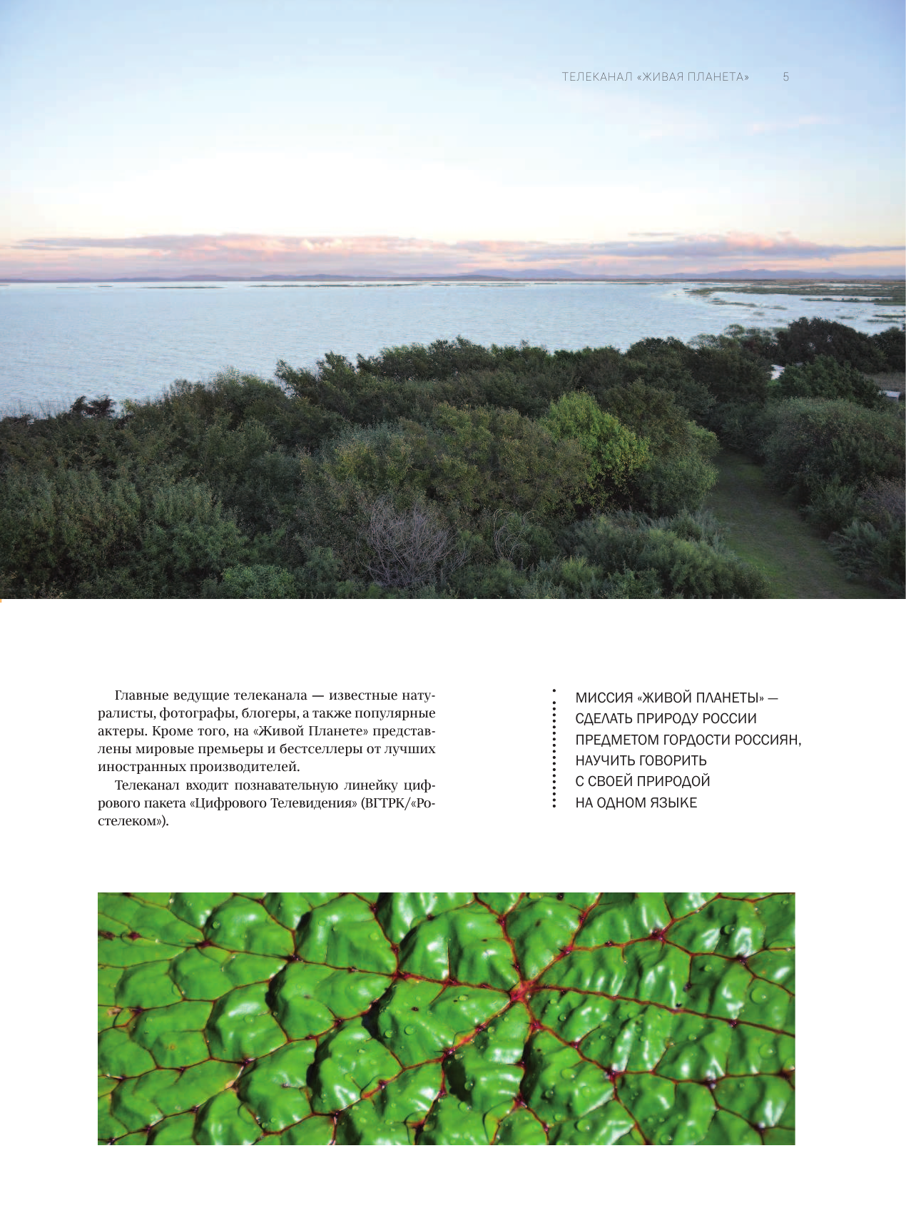  Моя Россия. Уникальные маршруты по заповедным местам - страница 4