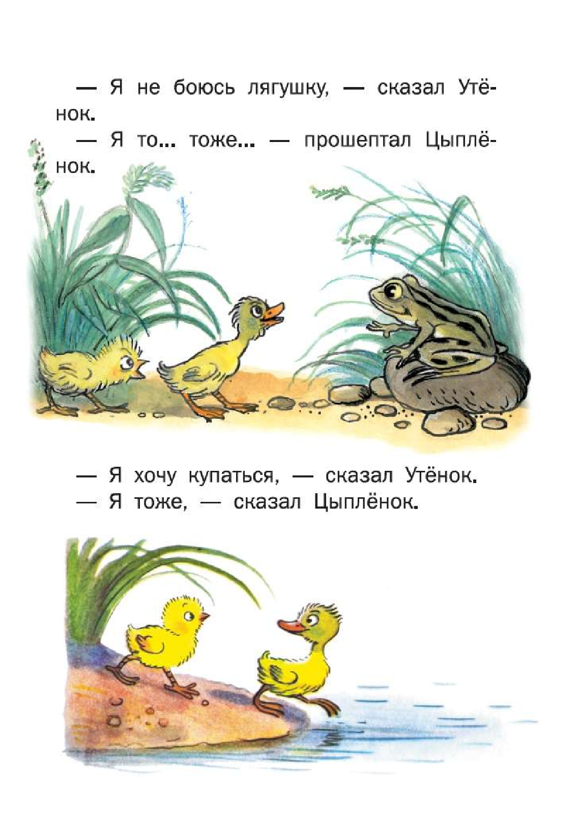 Сутеев Владимир Григорьевич Сказки - страница 1