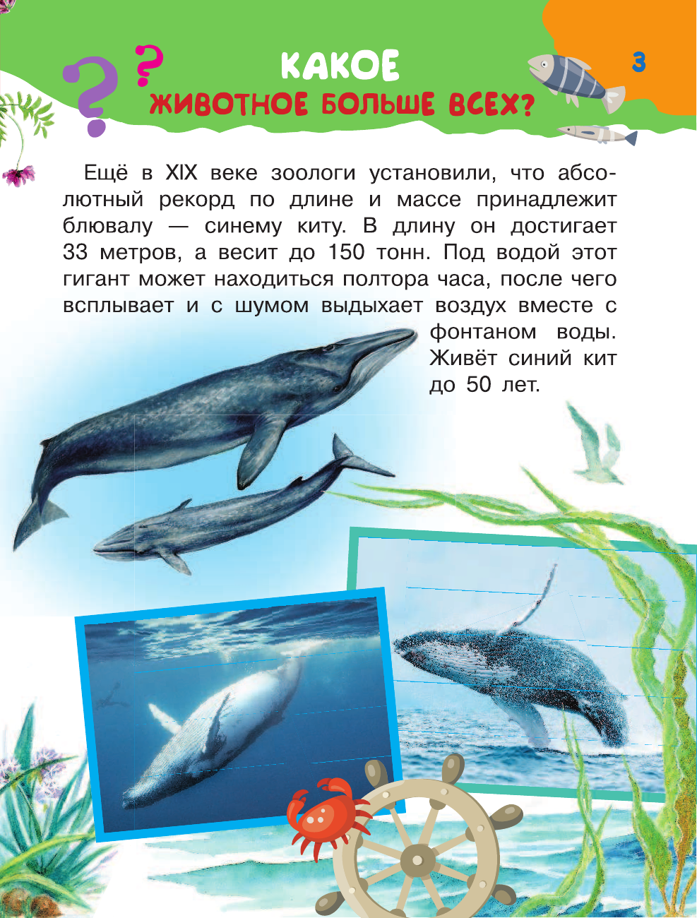 Малов Владимир Игоревич 100 тысяч почему - страница 4