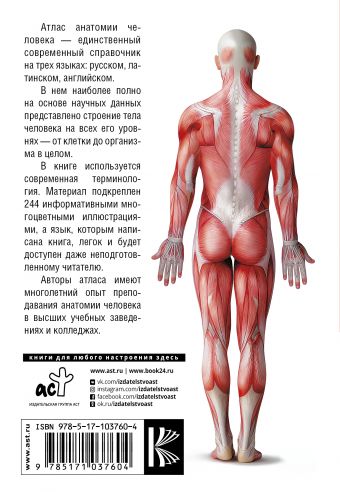 Анатомия человека. Русско-латинско-английский атлас
