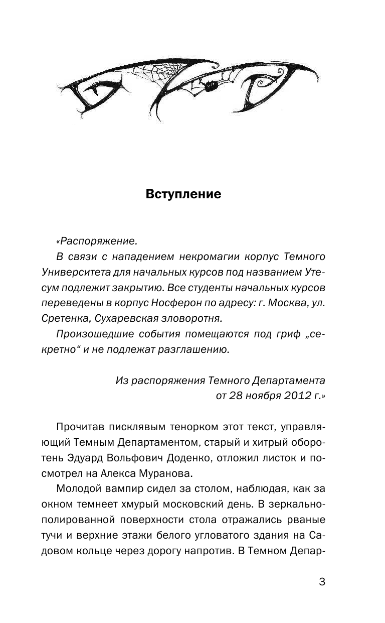 Готти Саша  Влада и маг-убийца - страница 4