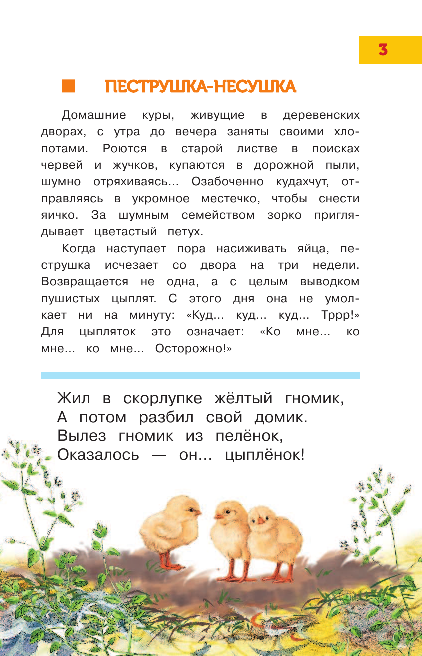  Лучшая энциклопедия для самых маленьких - страница 4