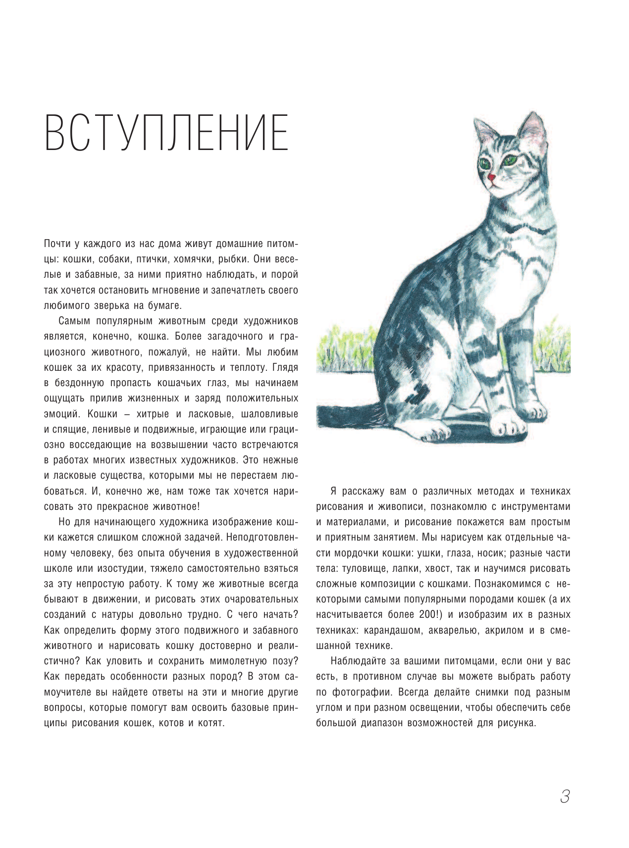  Рисуем кошек - страница 4