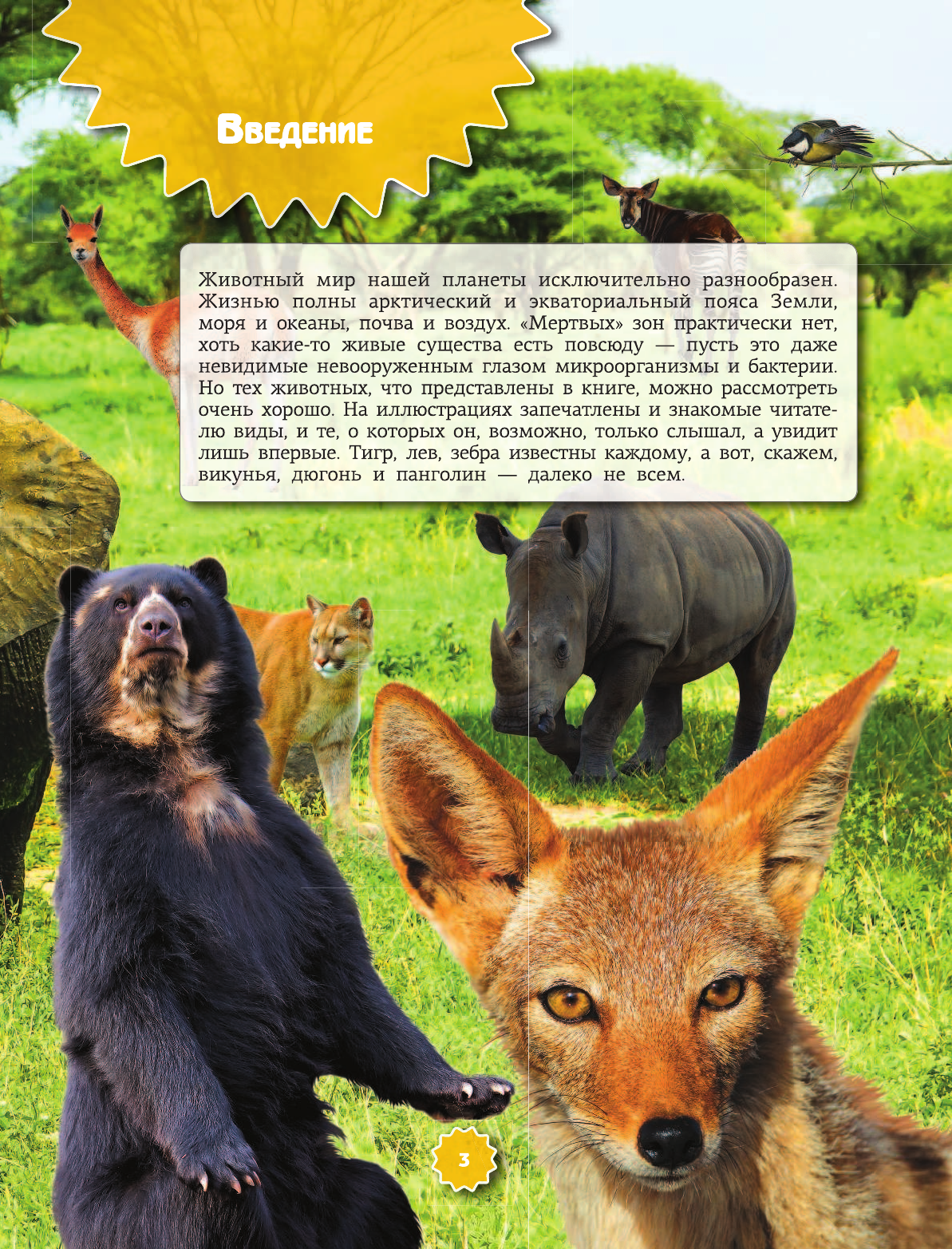 Проказов Борис Борисович Животные - страница 4