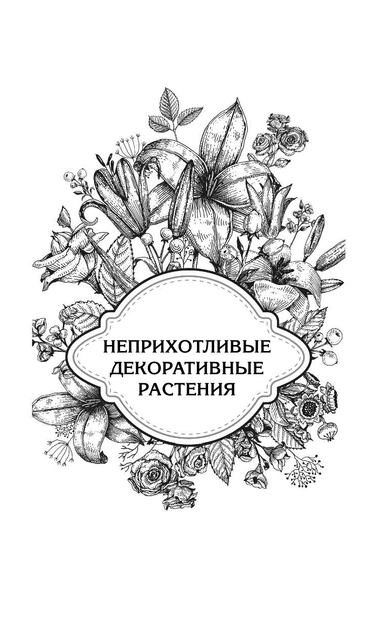 Кизима Галина Александровна Все ответы на вопросы о садовых декоративных растениях - страница 4