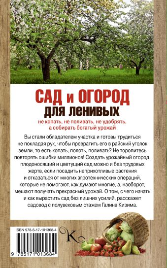 Ленивый сад: 20 многолетников для рационального садовода | В цветнике (internat-mednogorsk.ru)